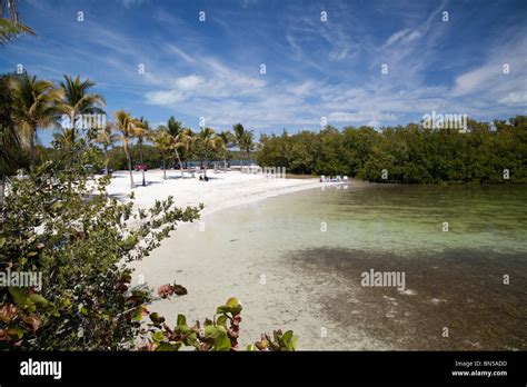 Beach at John Pennekamp State Park, Key Largo, Florida, USA Stock Photo ...