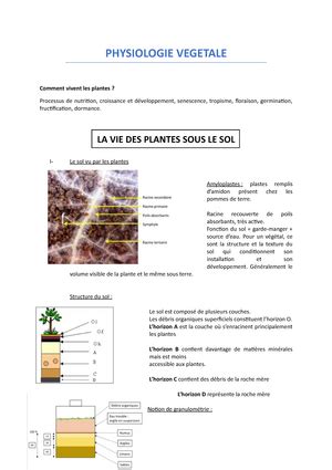 CM3 diversité végétale les algues Diversité des cycles chez les