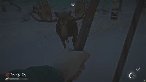 309 Milton Moose Respawn After 137 Days And Why Not 134 Interloper