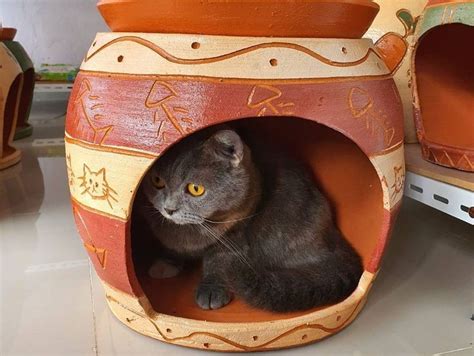 30 Modern Cat House Designs For Your Favorite Cats To Enjoy Modern