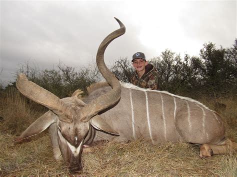 Kudu Hunts Star S Ranch