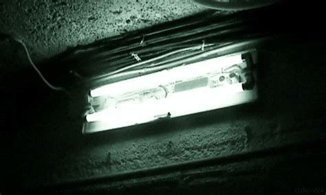 Amanda Rajakaruna Sri Lankan Nude Model Page Elakiri