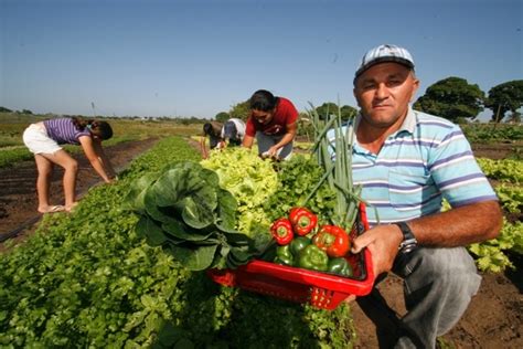 Descubre Todo Sobre La Agricultura Familiar Y Su Importancia