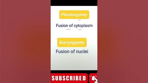 plasmogamy | karyogamy - YouTube