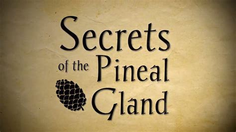 The Secrets Of The Pineal Gland Full Short Documentary Rastafari Tv