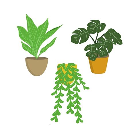 Premium Vector Plant Pot Vector Art