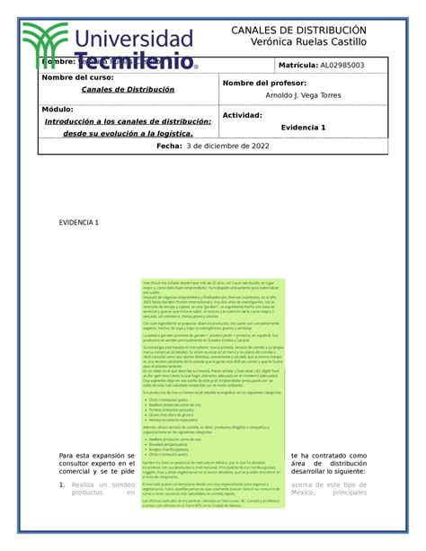 Canales De Distribuci N Evidencia Ver Nica Ruelas Castillo Nombre