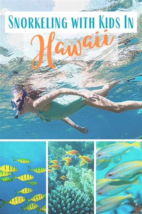 Snorkeling with Kids in Hawaii | Hawaii travel, Travel usa, Usa travel ...