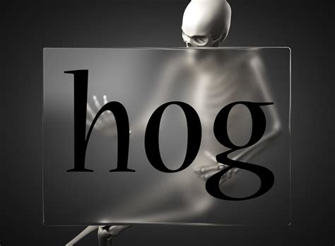 Hog Word On Glass And Skeleton Stock Photo At Vecteezy