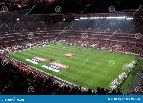 Soccer game stadium editorial photography. Image of championship - 23468872