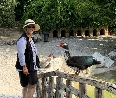 Kathy Koester With Domestic Muscovy Duck At National Garde Flickr