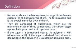 Nucleic acids | PPT