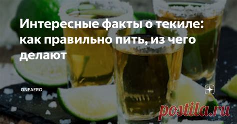 Интересные факты о текиле: как правильно пить, из чего делают Текила ...
