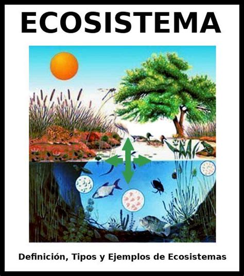 Información En General Ecologia Hoy