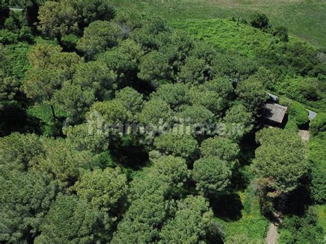 Vendita Villa Unifamiliare In Strada Vicinale Della Fornace Fontanelle