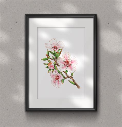 MANUKA FLOWER fine art Print – the-sewing-sailor