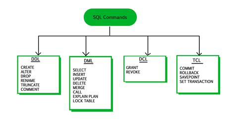 Sql Commands And Data Types Sql Basics Dbms Tutorial