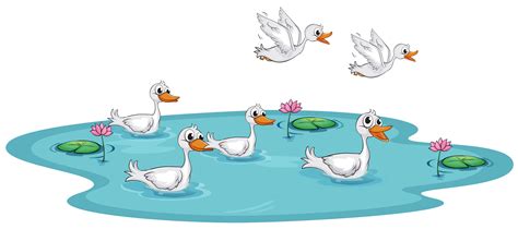 A group of ducks at the pond 525785 Vector Art at Vecteezy