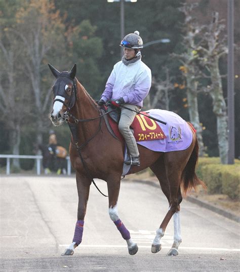 【チューリップ賞】スウィープフィート 武豊と桜切符狙う、g1・3勝馬を祖母に持つ良血― スポニチ Sponichi Annex ギャンブル