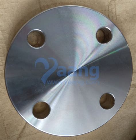 EN1092 1 05 B1 304L Blind Flange RF DN25 PN40 Yaang