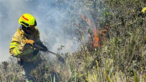 Colombia En Alerta Por Incendios Forestales En Casi El 70 Del País Revista Alternativa