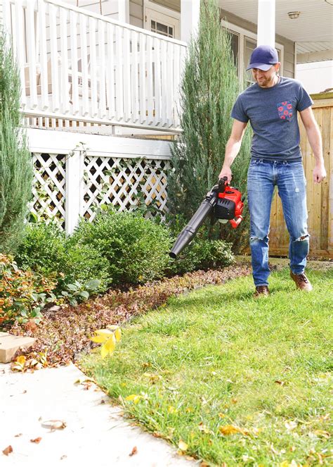 How We Prepare Our Urban Yard for Winter - Yellow Brick Home
