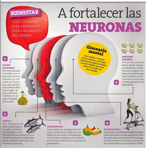 Tu Gimnasia Cerebral A Fortalecer Tus Neuronas Con Estos Tips