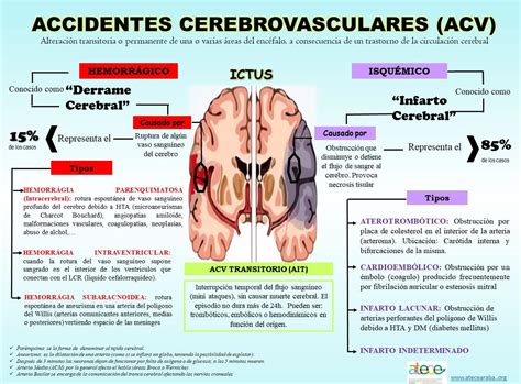 Causas del Daño Cerebral en detalle. Parte I: Ictus - ATECE