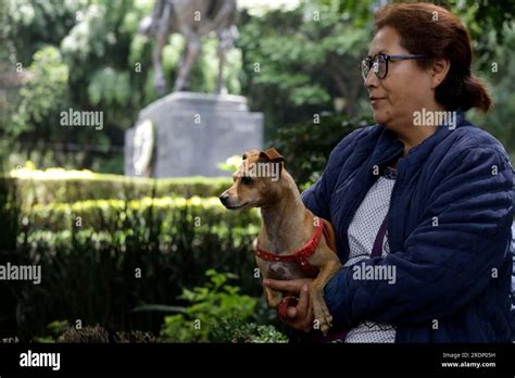 Ciudad De M Xico M Xico De Julio De De Julio De