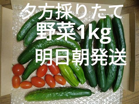 夕方採りたて新鮮野菜1kg きゅうり、ピーマン、ミニトマト メルカリ