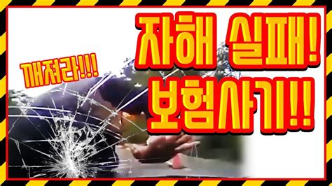 자해공갈 보험사기 실패영상 Youtube