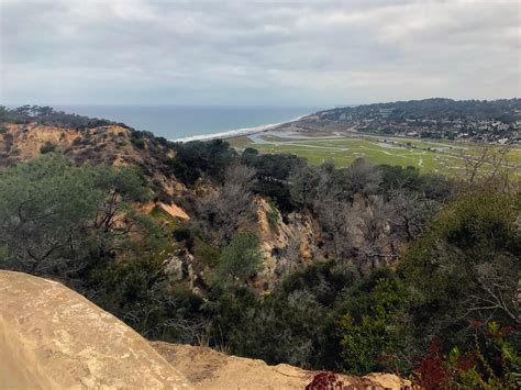 Torrey Pines State Reserve - Darcy Dishes