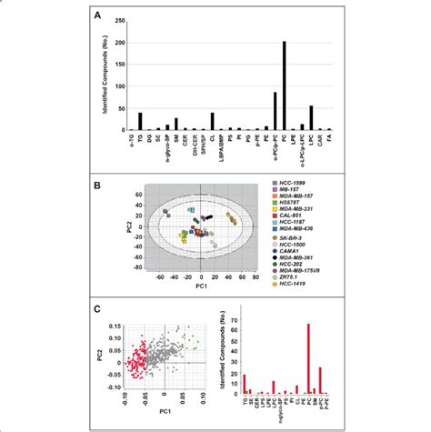 Basal Lipidomic Profiles Of Breast Cancer Cells A The Panel