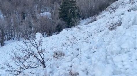 Avalanche Risk Prompts Road Closures In Utahs Wasatch Range