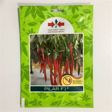 Benih Bibit Cabe Pilar F Cabai Merah Besar Hibrida Cap Panah Merah Sp