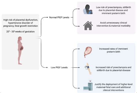 Integration Of Placental Growth Factor Plgf Testing Into Clinical