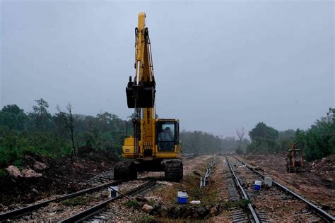Cuáles son las amenazas que sufren hoy los reptiles de América Latina y cómo salvarlos Infobae