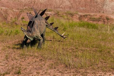 New Species Of Spiked Armored Dinosaur Is Unlike Anything Ever Found