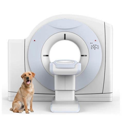 Global Veterinary Computed Tomography Scanner Market Continues Upward