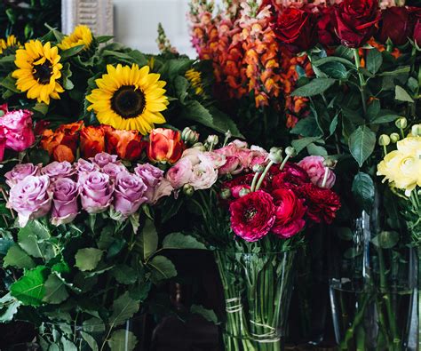 How To Make Flowers Last Longer: Tricks That Florists Use