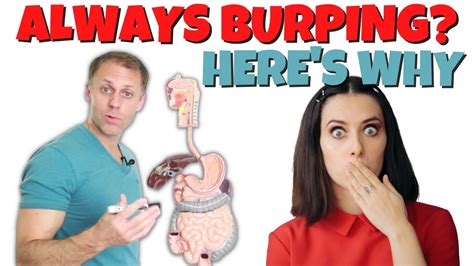 Why Do I Burp So Much - YouTube