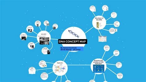 Dna Concept Map By Hamza Kanchwala On Prezi