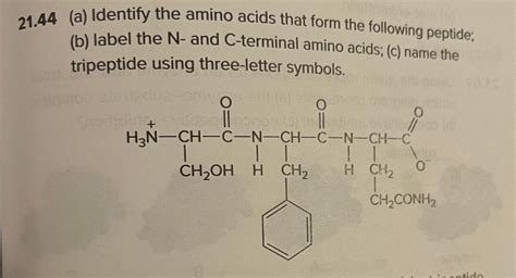 Solved 21.44 (a) Identify the amino acids that form the | Chegg.com 