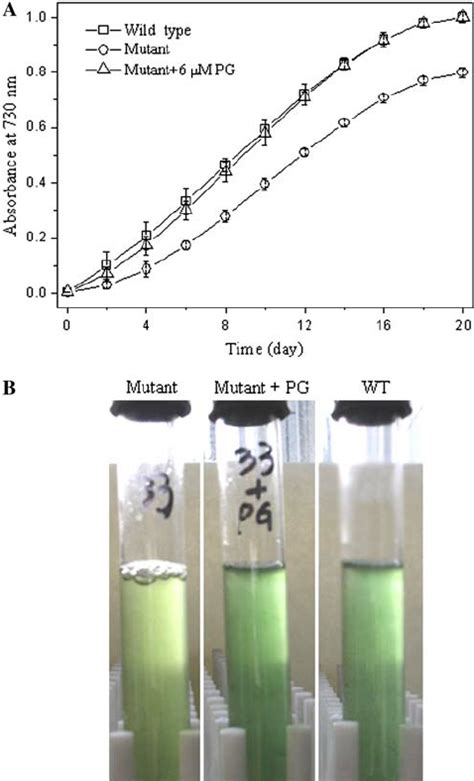 Growth Curves Of The Wild Type Strain And The Pgpb Mutant Cultured In