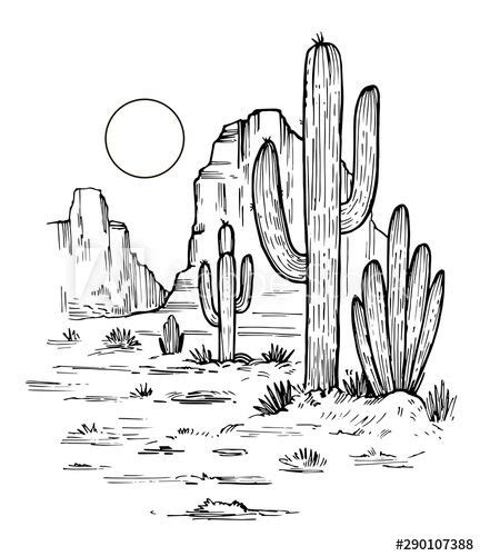 Sketch Of The Desert Of America With Cacti Prairie Landscape Hand