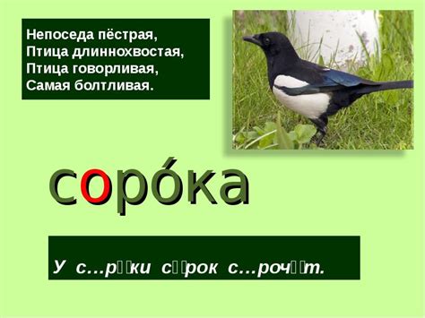 Словарные слова для 1 класса - презентация, доклад, проект скачать