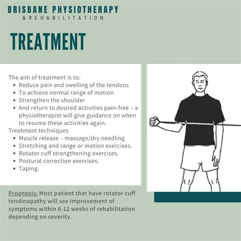 Managing Your Rotator Cuff Tendinopathy Brisbane Physiotherapy