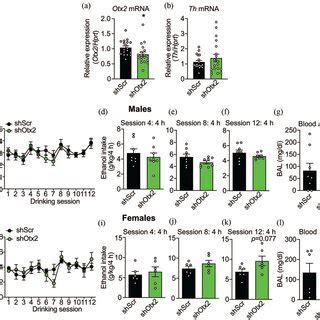 Reducing Otx Expression In The Vta Does Not Affect Sucrose