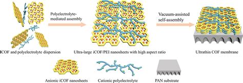 Illustration Of Polyelectrolytemediated Assembly Strategy To Prepare