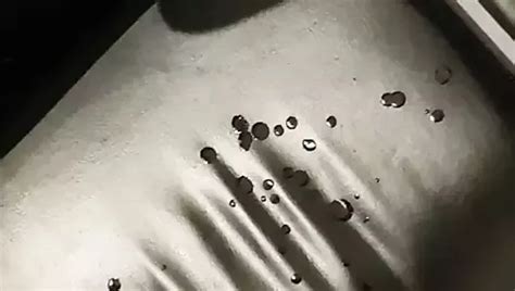 Abrotzen Nr Gay Hd Videos Hd Porn Video D Xhamster